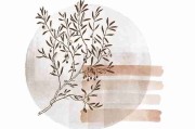智能妻社网页版升级：高能亮点