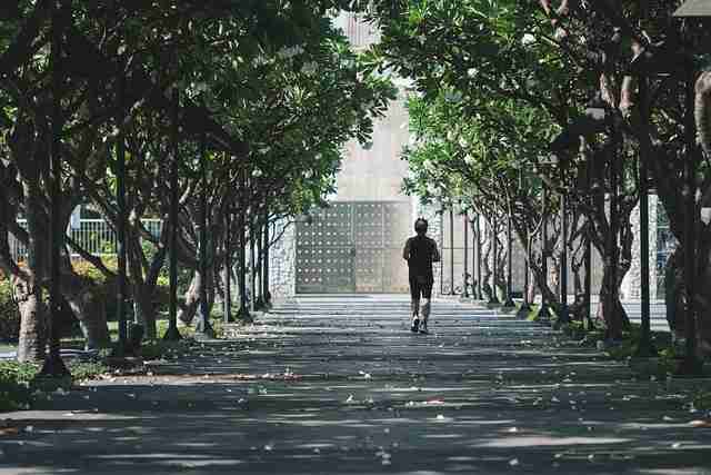 蘑菇视频下载：高清指南与省流量秘籍